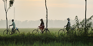 Heavenly Hoi An