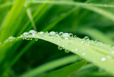 3 Hand Cream Ingredients To Nourish Your Skin